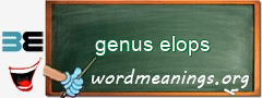 WordMeaning blackboard for genus elops